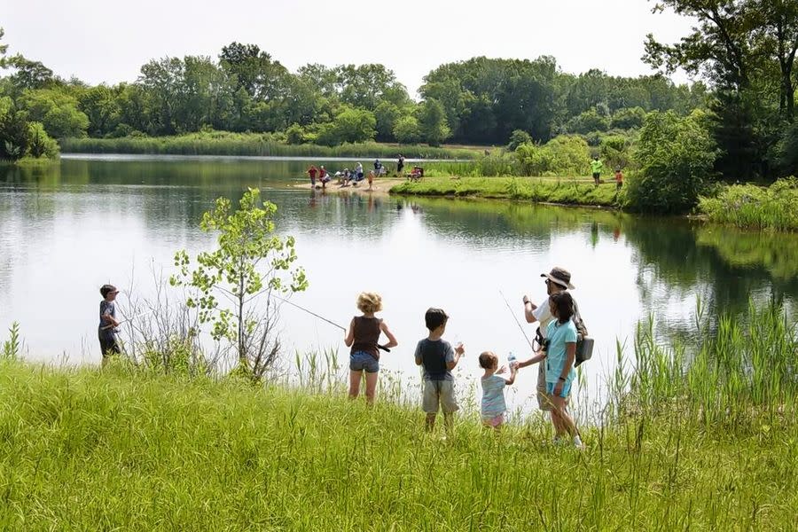 Best Fishing Spots Around the State of Illinois