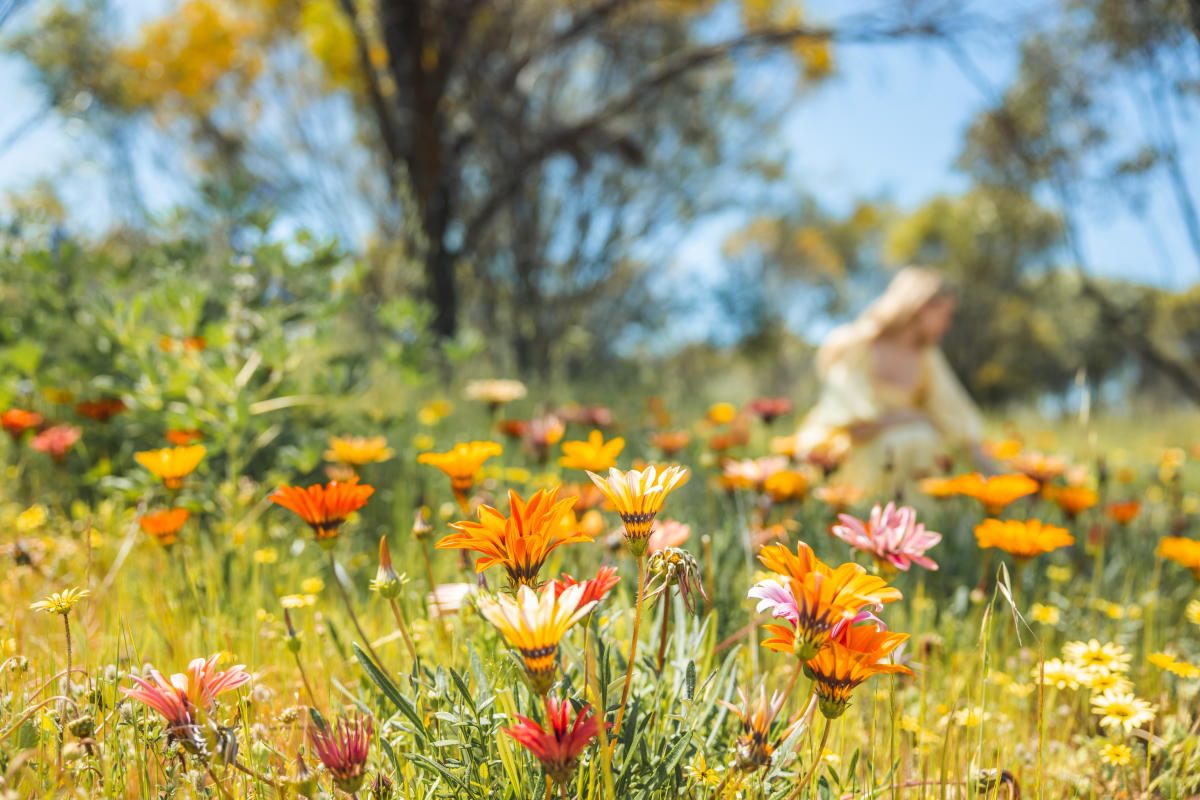 Avon store spring cycle