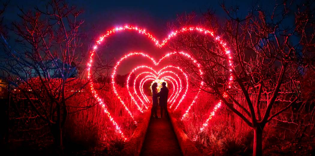 Lightscape Returns to Perth for 2024