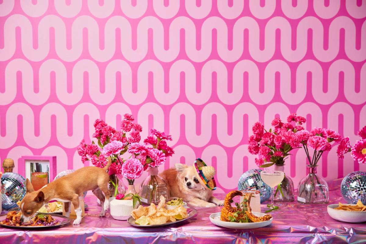 Pink Ta Pink Taquito adds spice to Perth's Stories precinct