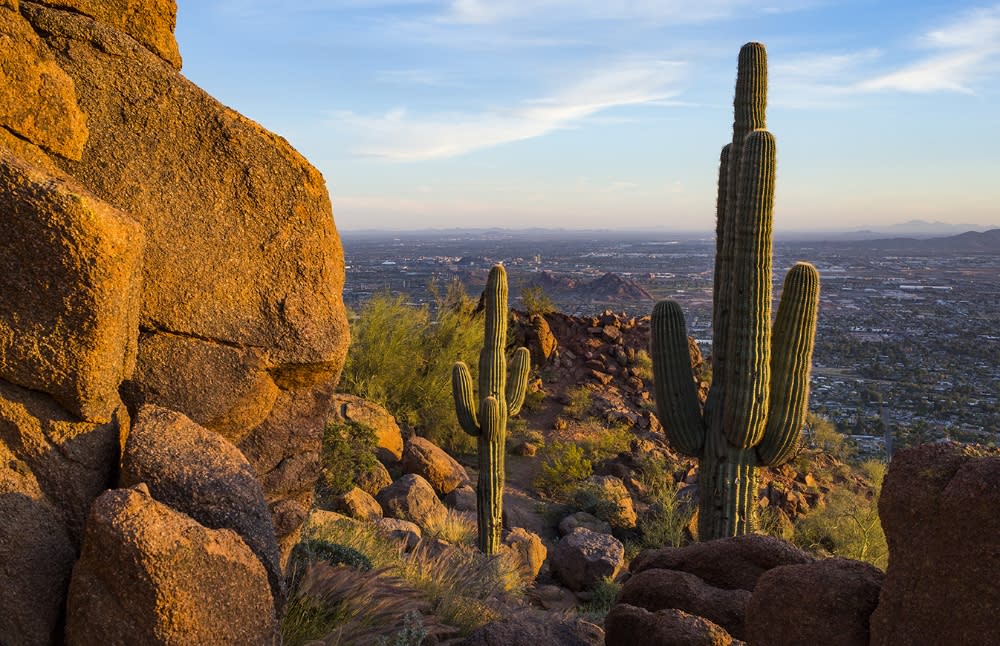 Phoenix Weather Forecast And General Information