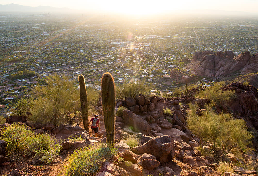 Free Things To Do In Phoenix Find Museums Hikes Restaurants