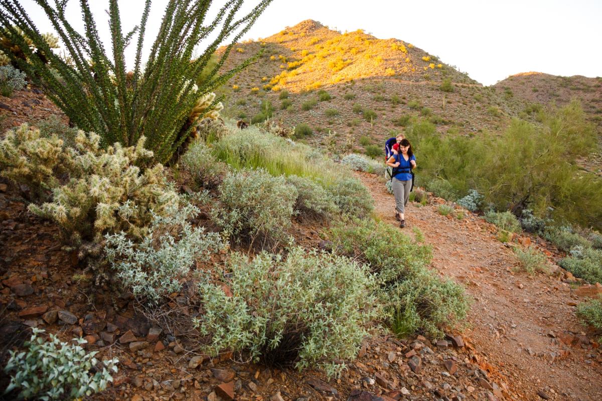 Phoenix Mountains Preserve Piestewa Peak Dreamy Draw