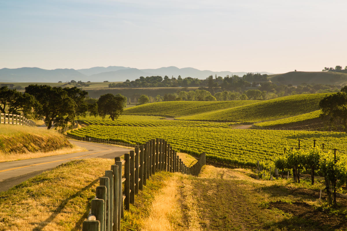 st rita hills st rita hills