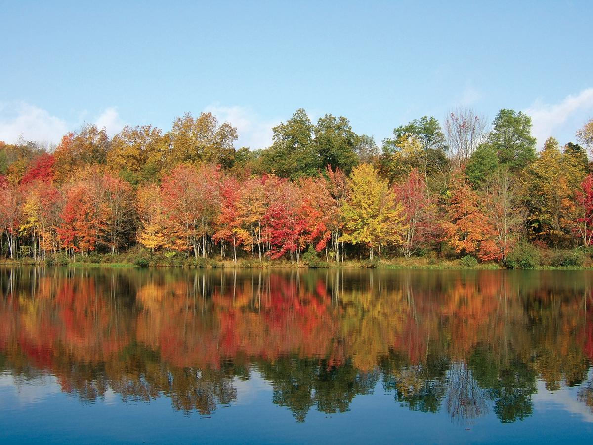 Poconos Nature Education Calendar Search Events in the Pocono
