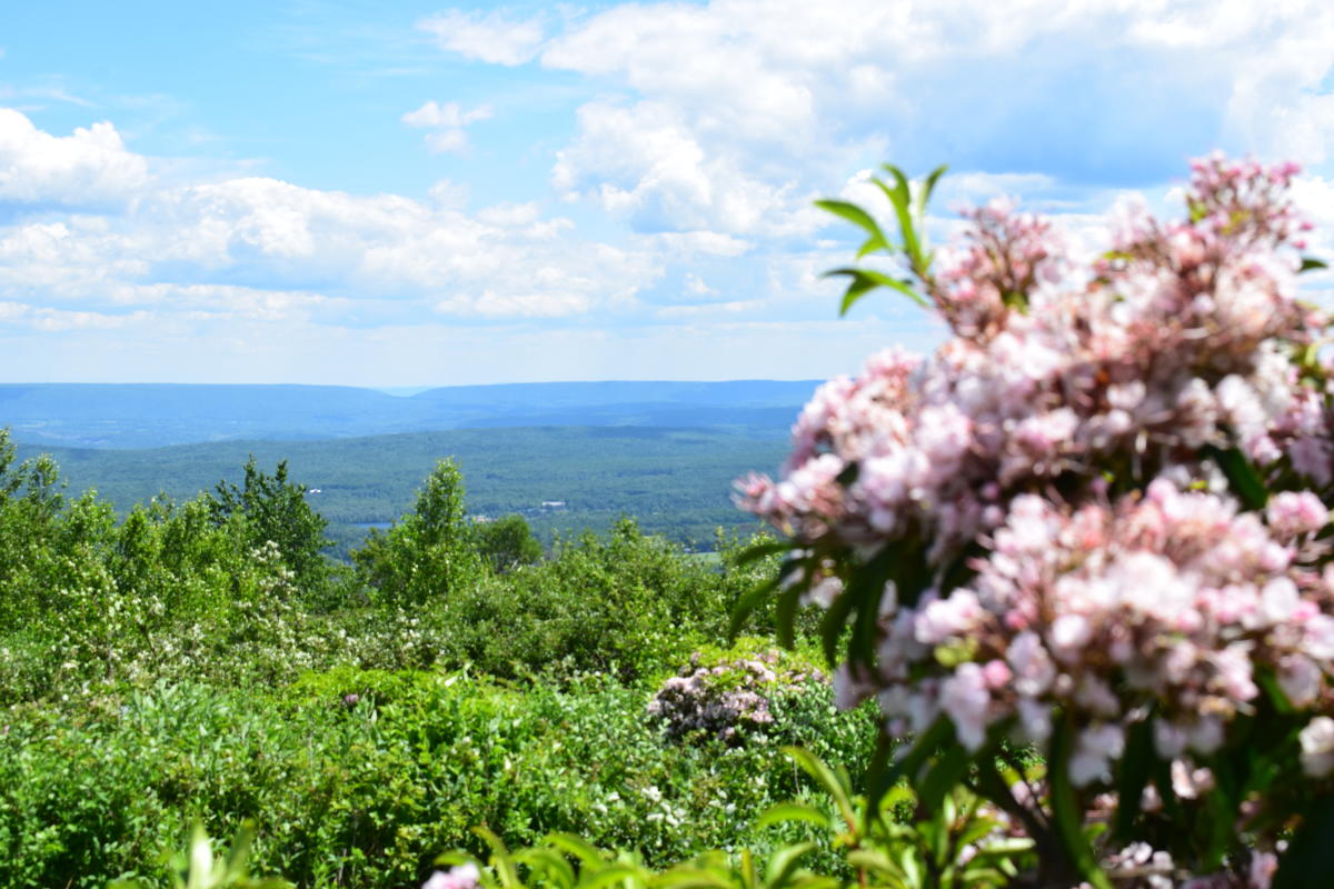 Spring Offers Deals for Spring in the Pocono Mountains