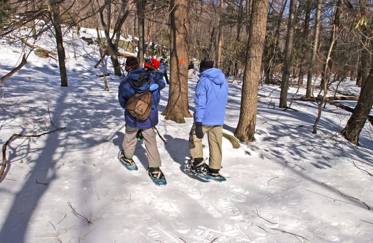 family activities in the poconos