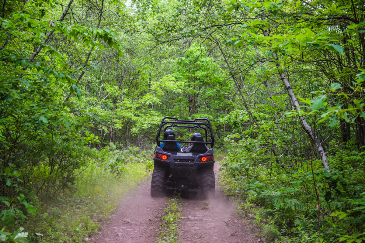 Hiking, Biking & Adventure Parks in the Pocono Mountains