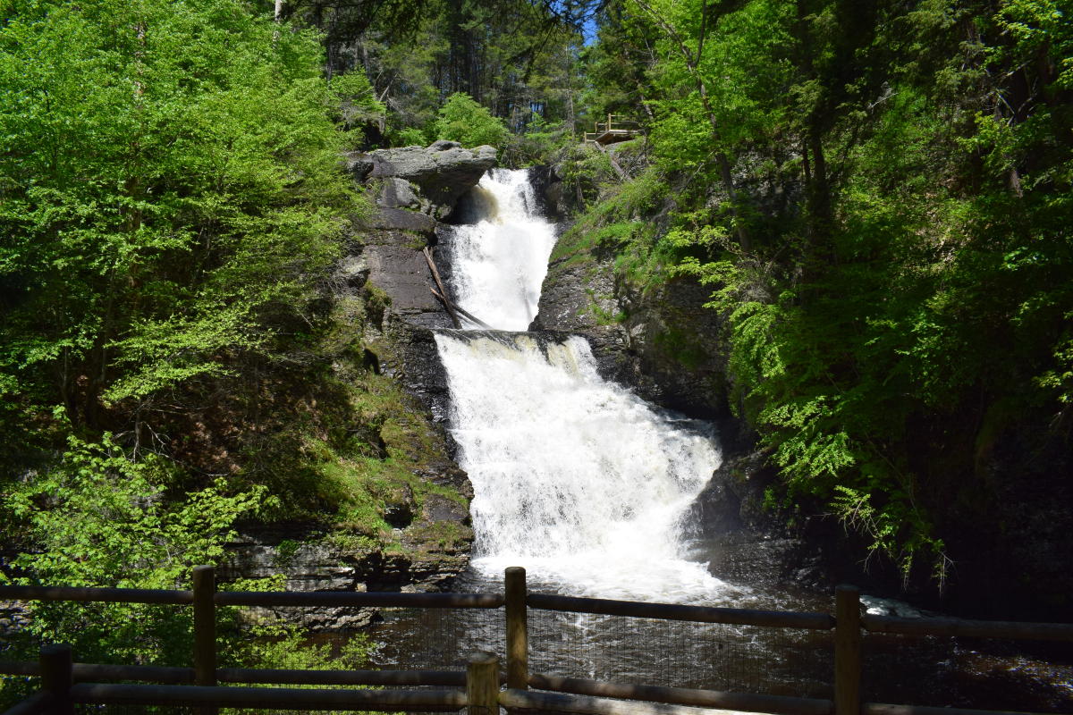 Search Events in the Pocono Mountains Calendar of Events