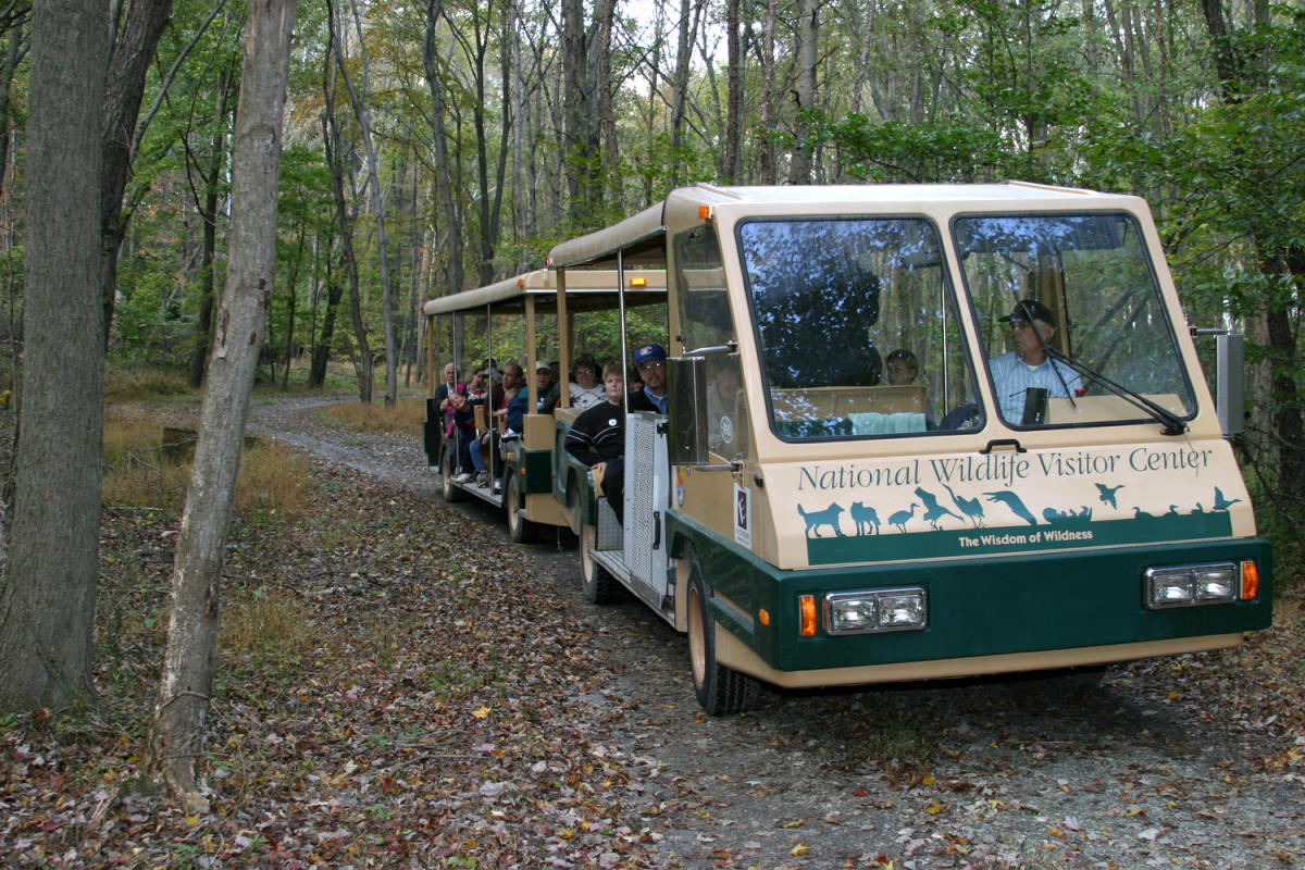 Prince George Mini Train Prince George's County | Transportation, Airports, Trains & Taxis