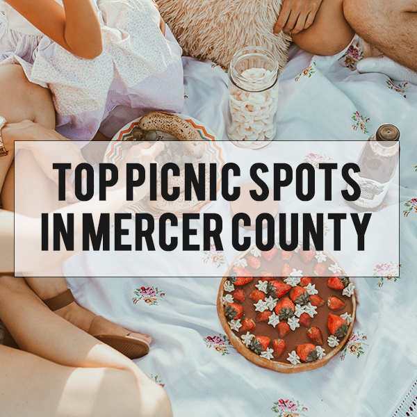 Best Picnic Spots in Mercer County | Princeton Picnic Places