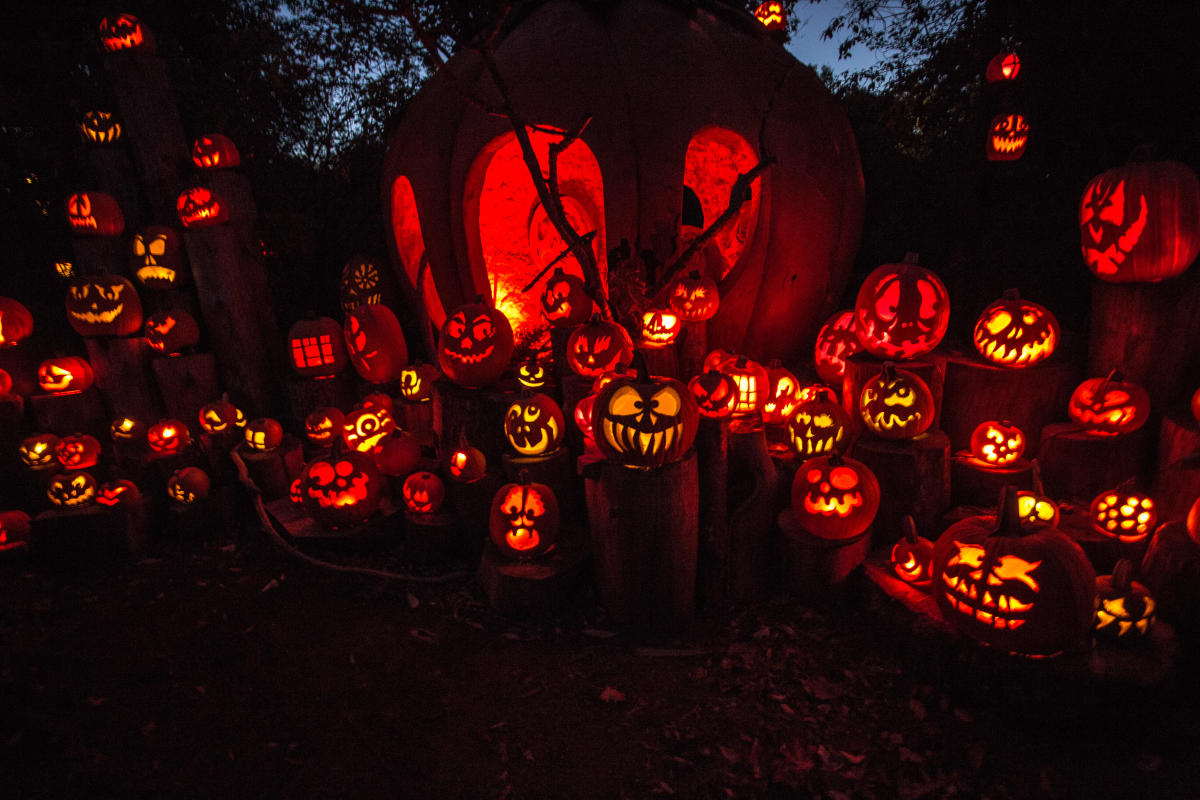 Jack O Lantern Spectacular 2019 In Providence Oct 3 Nov 3