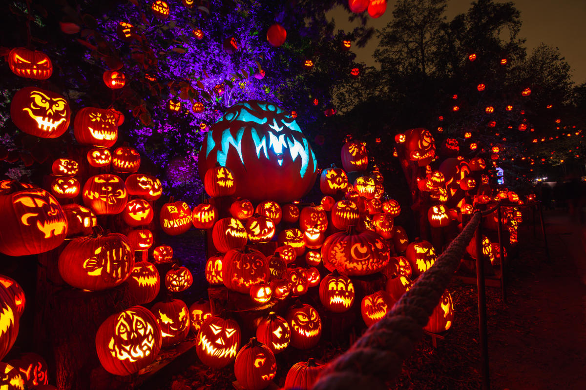 Events This Weekend in Providence Nov 11 13 2022