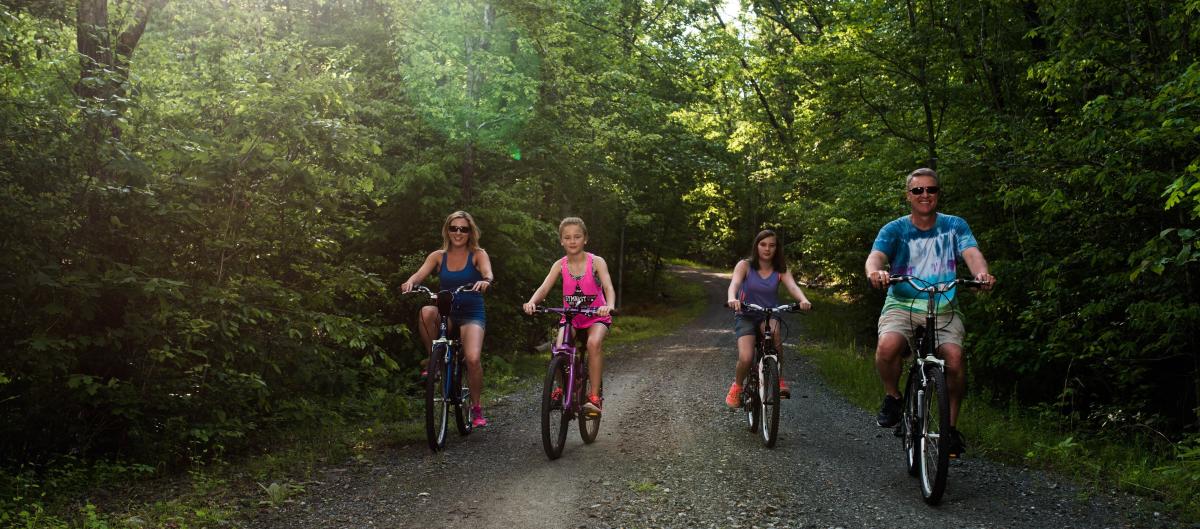 Things to Do - Northern VA and DC Area - Prince William County