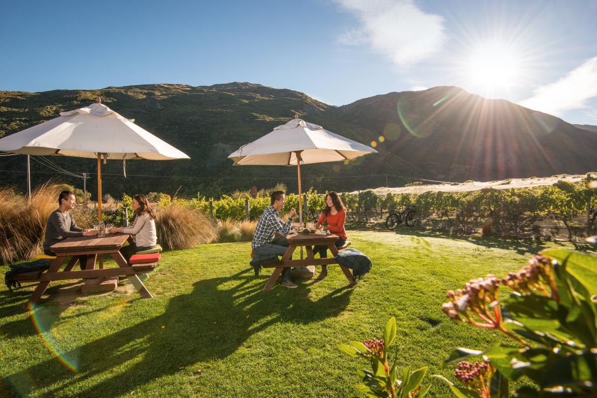 Wine Tours & Tastings Queenstown, NZ Official site