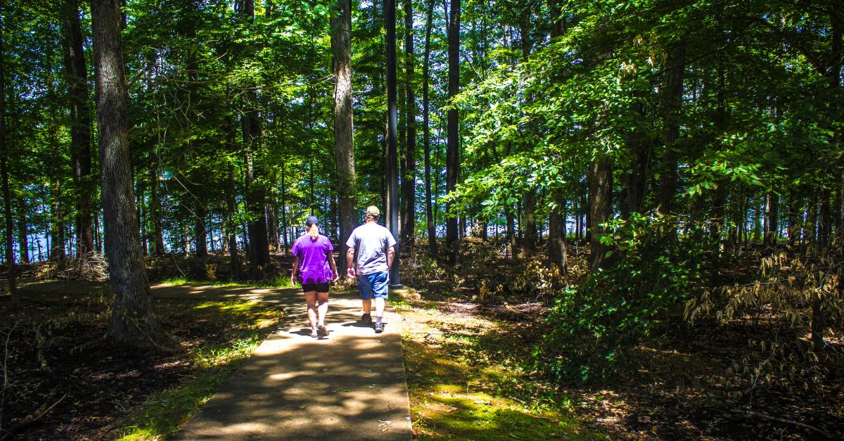 Tree Top Walk Raleigh Hiking & Greenway Trails in Raleigh, N.C. | Parks, Forests, Hiking, Biking