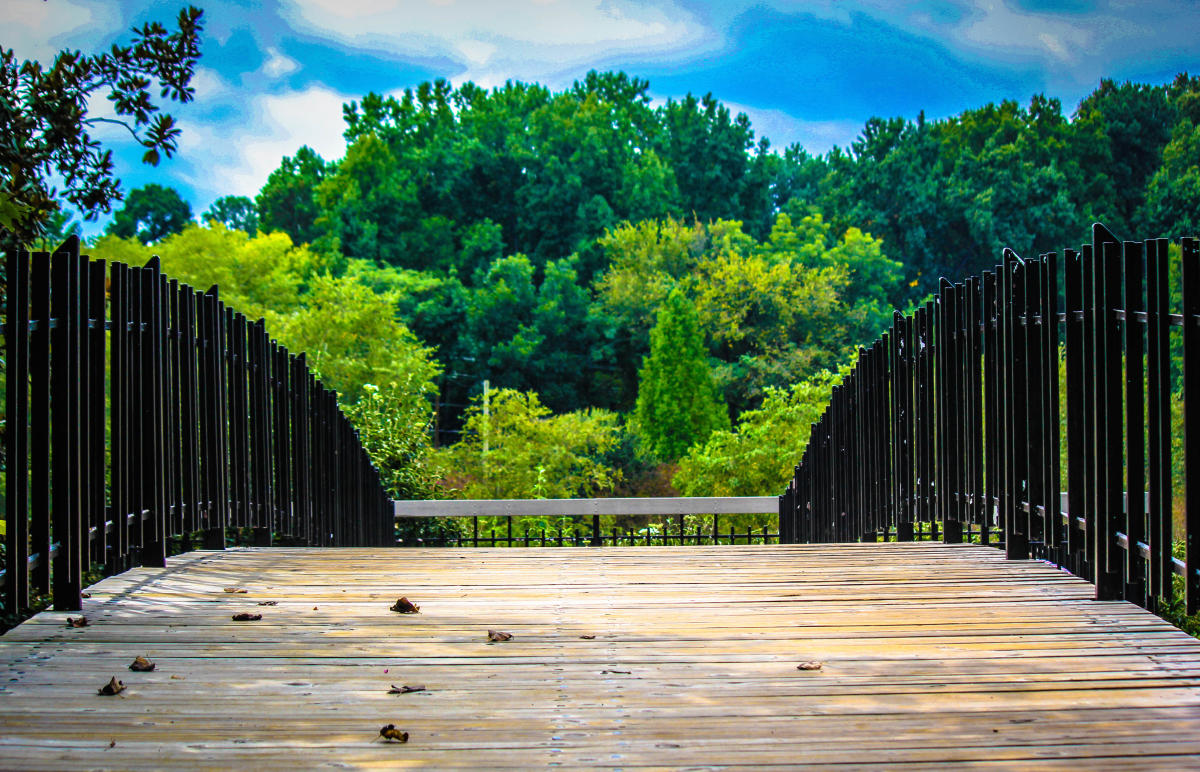 Weather in Raleigh, N.C. | Yearly Temperatures and Current Forecast