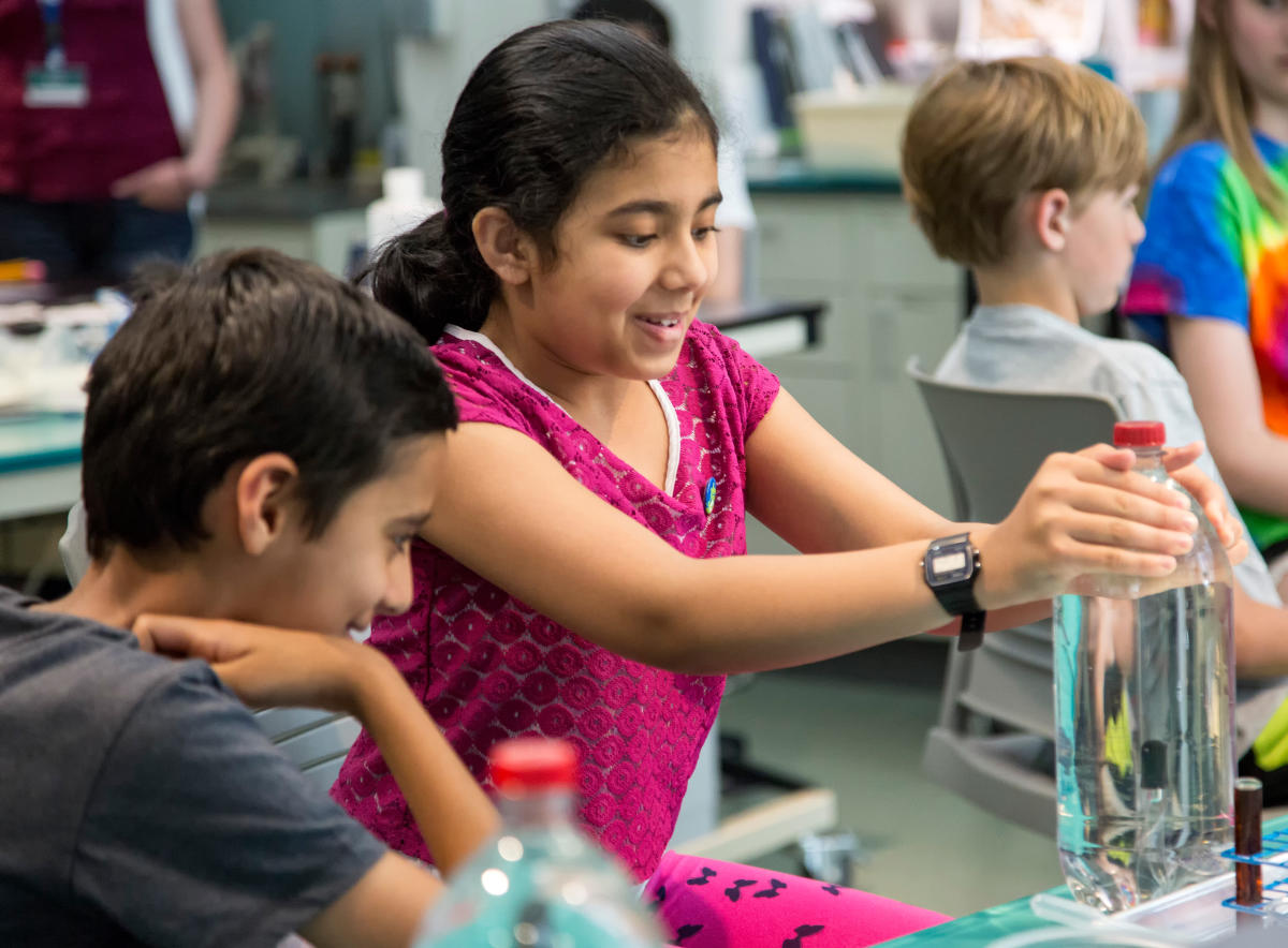 Museums in Raleigh, NC History, Natural Science & Art