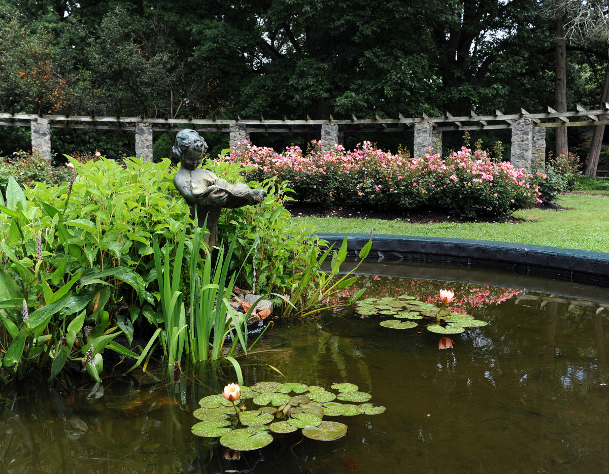 Gardens and Arboretums in Raleigh, N.C.