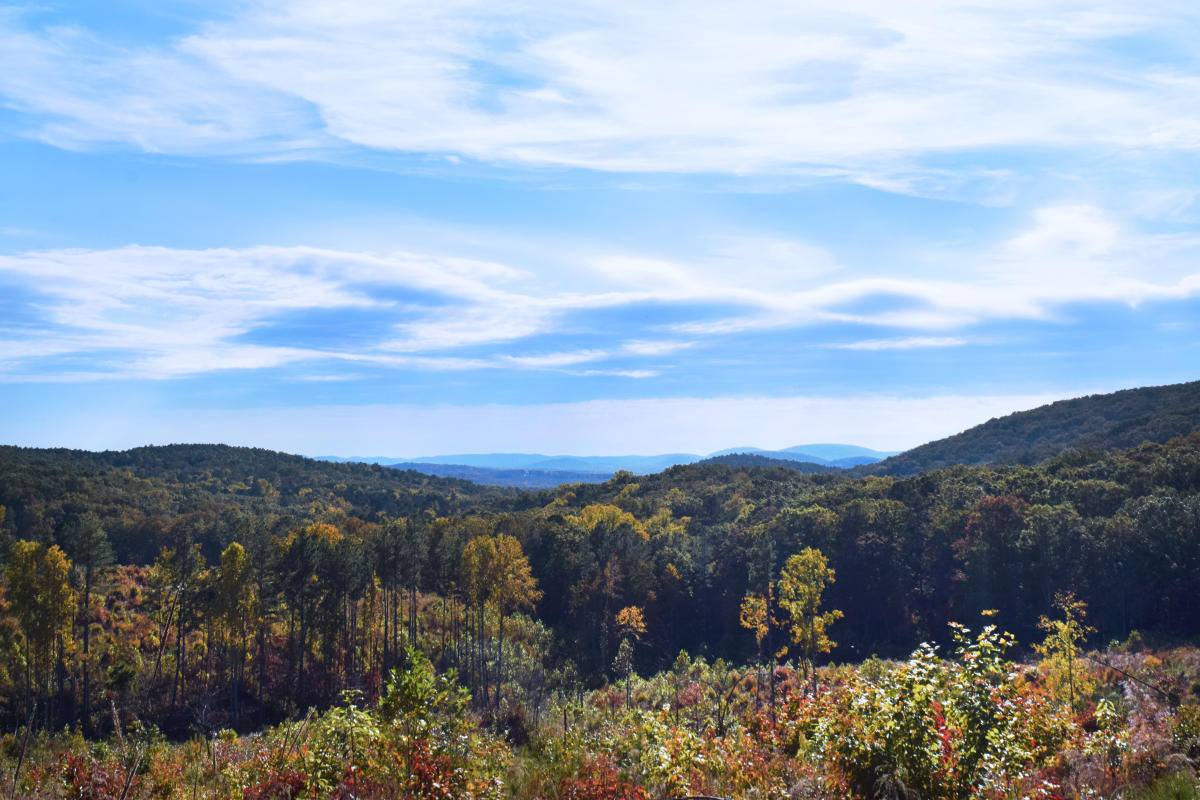 About Staley North Carolina Heart Of North Carolina Randolph County