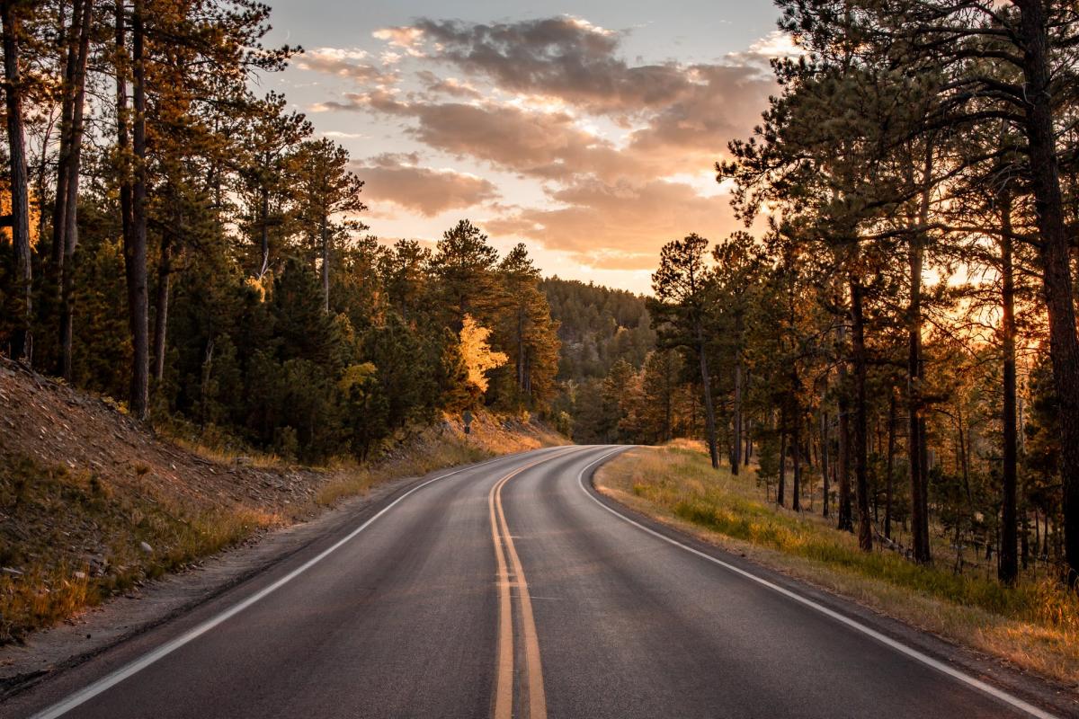 Must-Visit Destinations on Your Road Trip to Rapid City