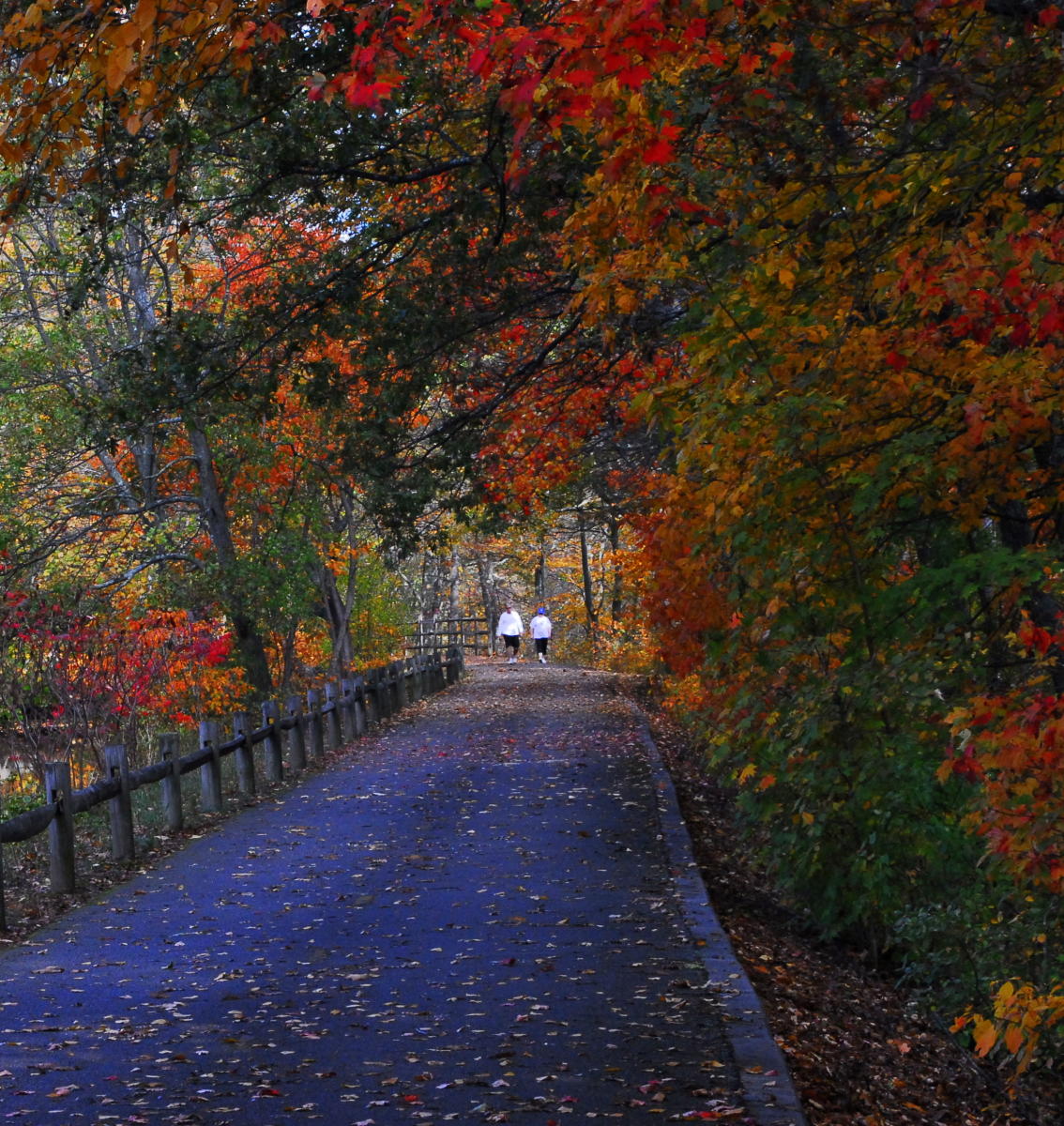 Fall Enchantment