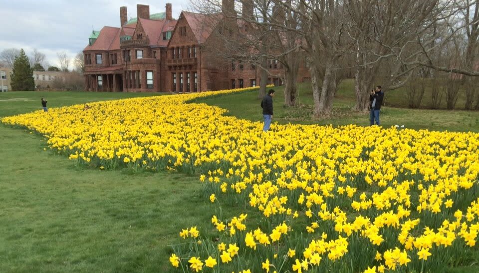 Travel Channel Calls RI a "Top Spot" to See Spring Blooms