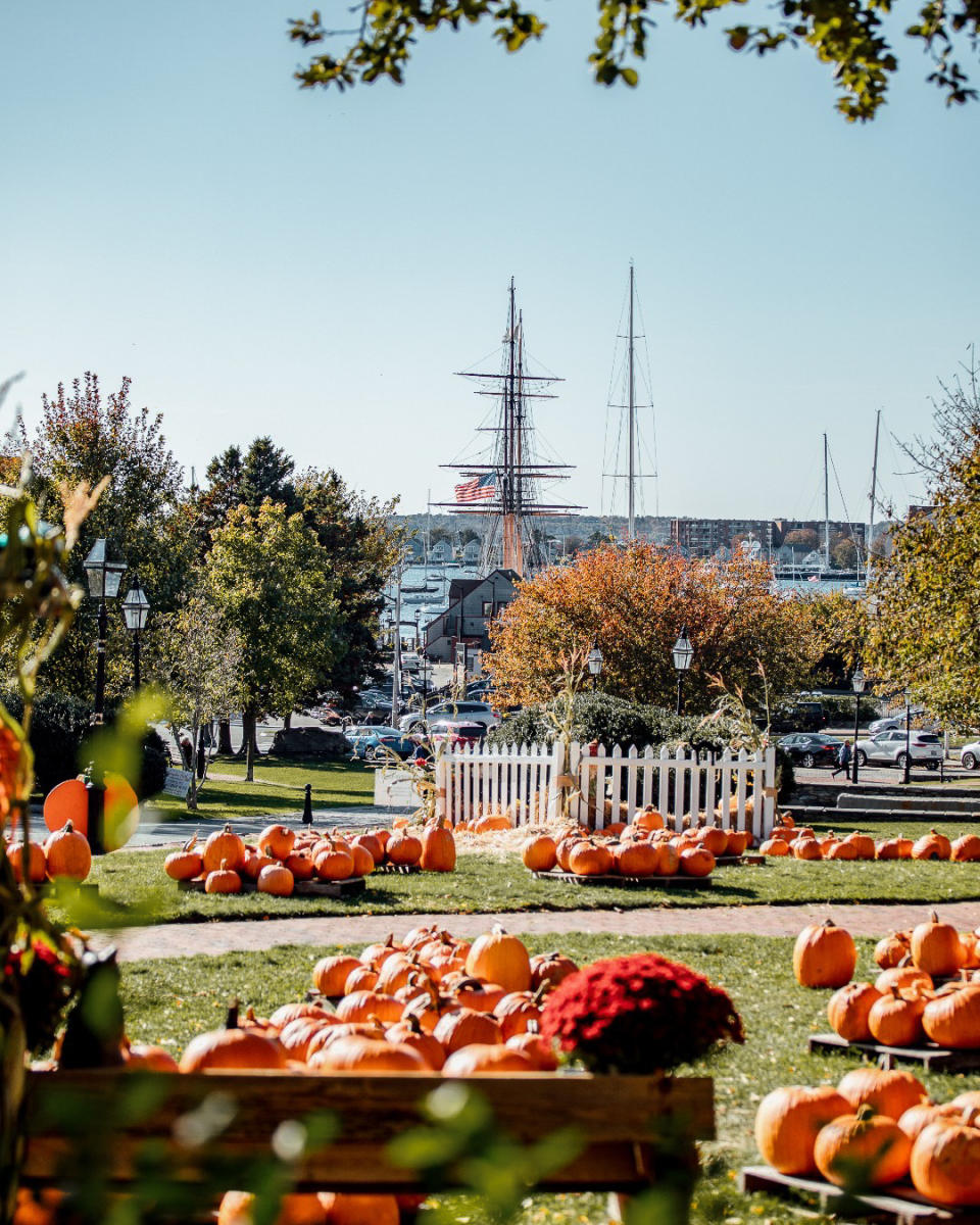 Fall Scape Program Your Next Great Fall Escape Is Here