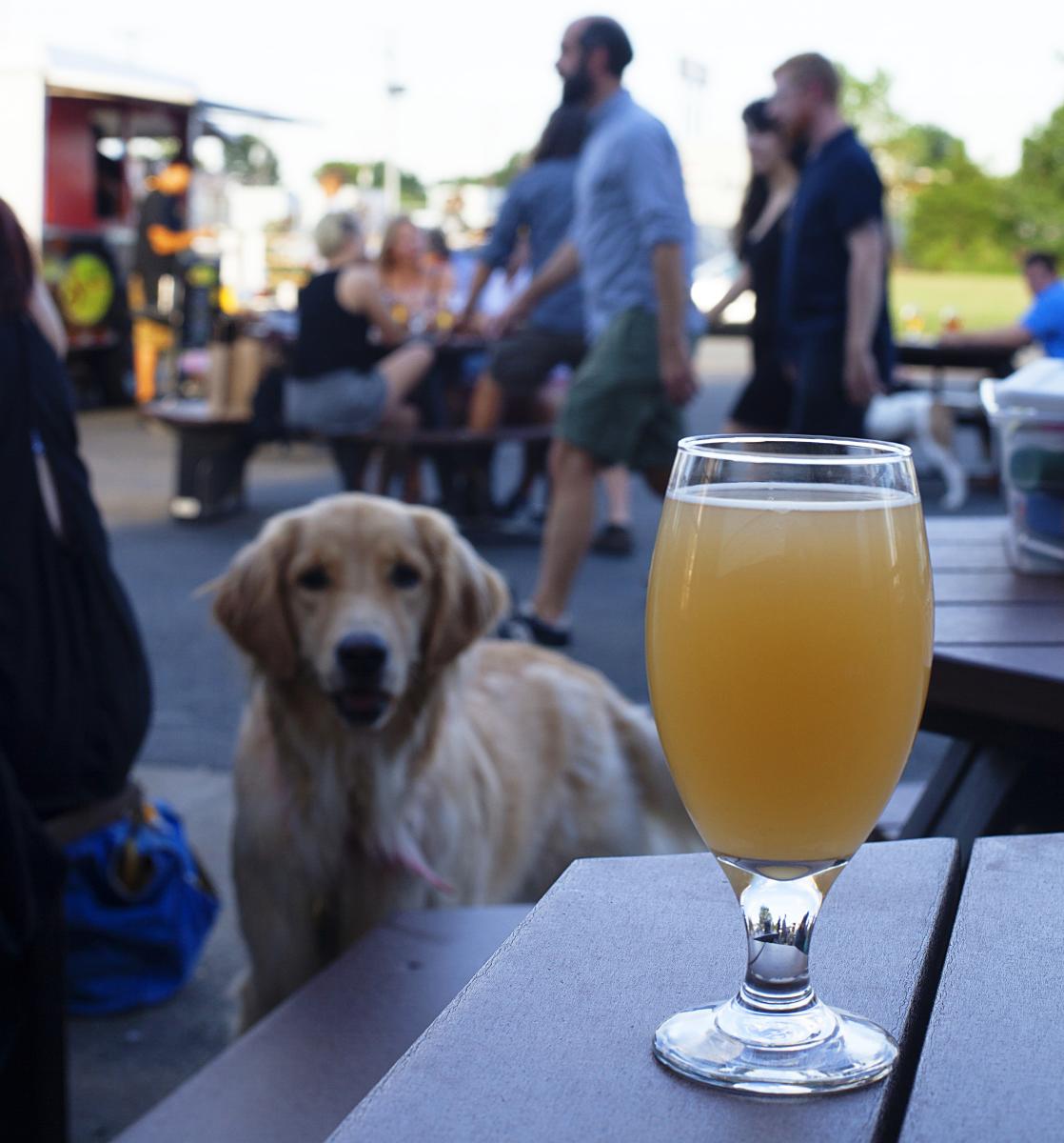 Craft Beer in Chesterfield County, VA Richmond Beer Trail