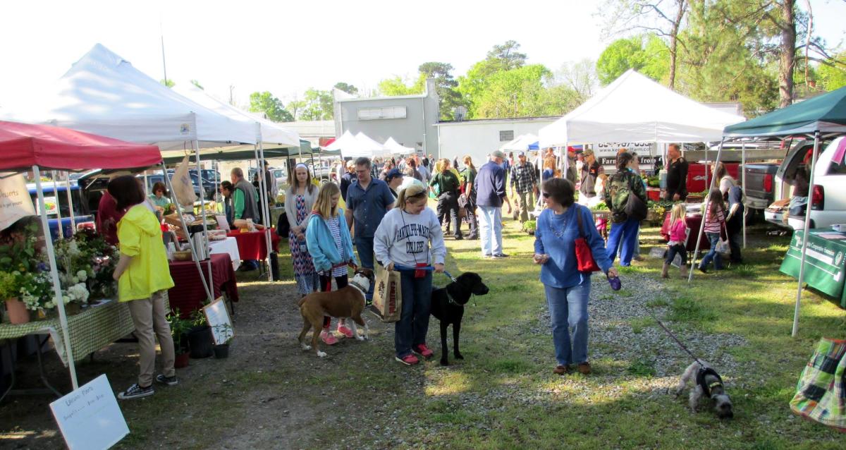 Things to Do in Ashland, VA Attractions & Events in Ashland