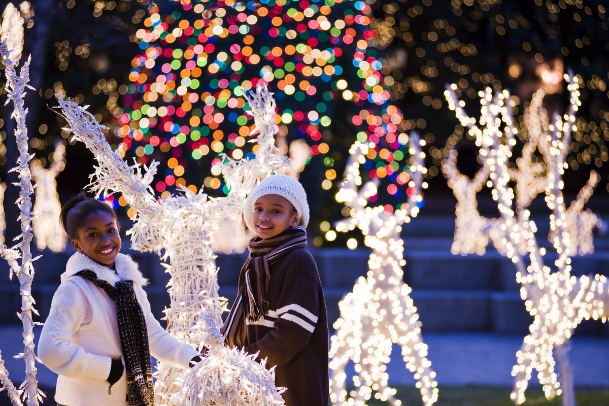 Holiday Lights