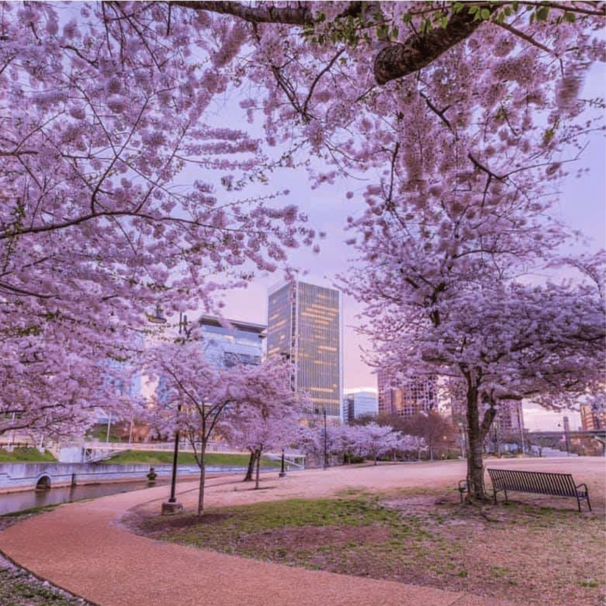 Outdoor Activities on Richmond's Riverfront