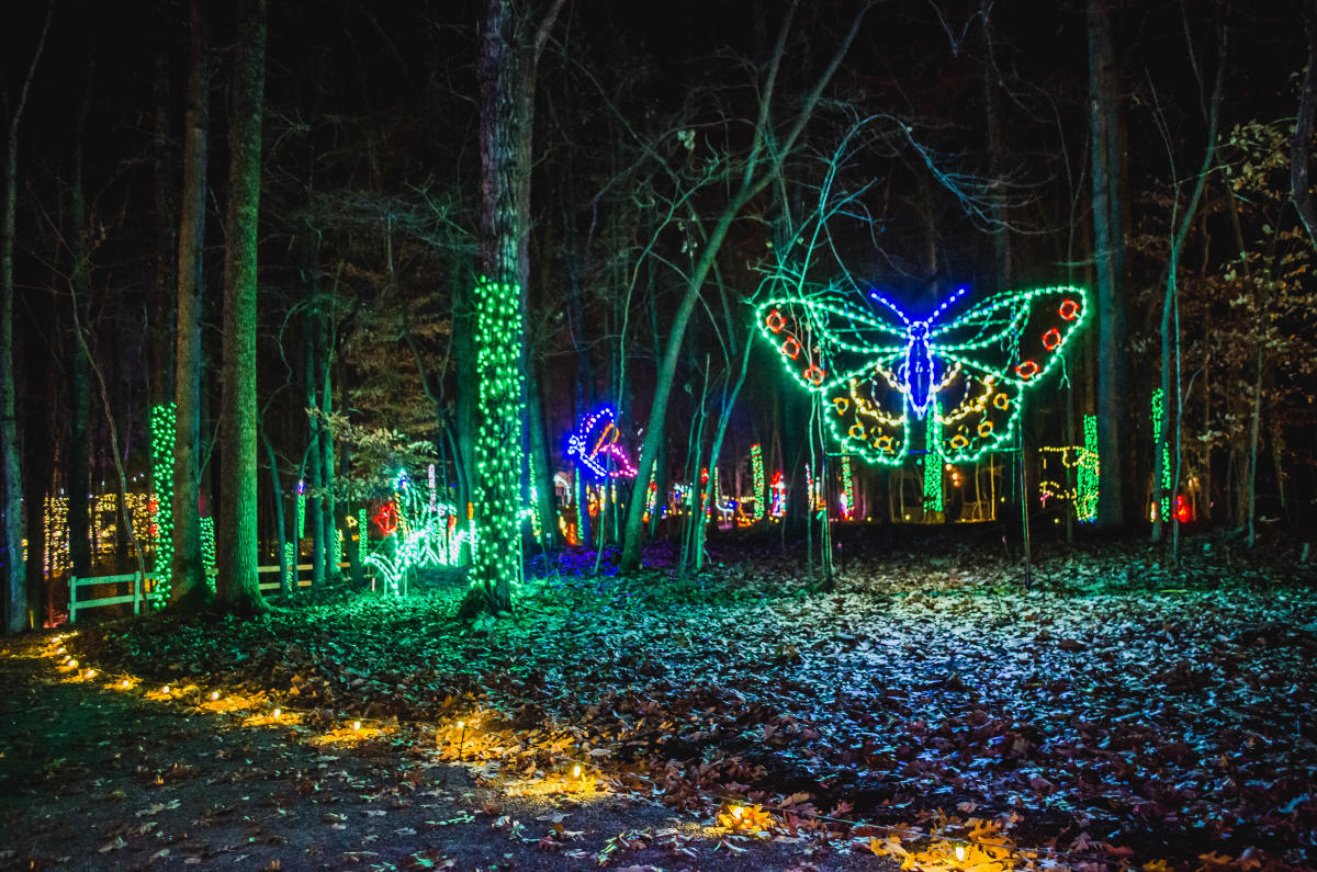Roanoke Events This Weekend Things To Do This Weekend