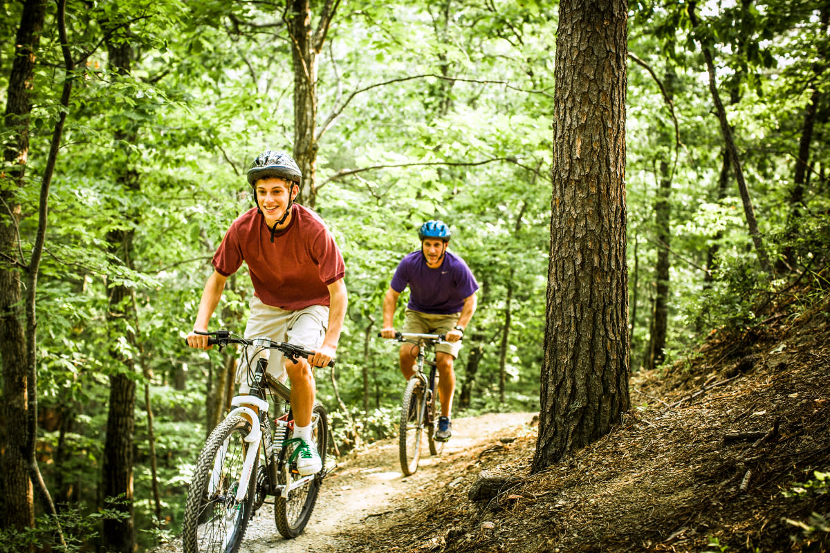 Activity rest. Active rest. Riding Bike in City. Active rest collage.
