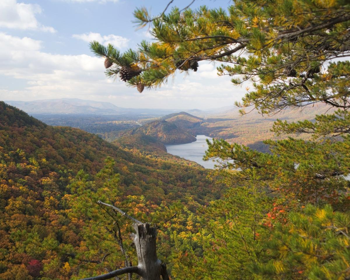 Hotels in Fincastle & Botetourt County, VA