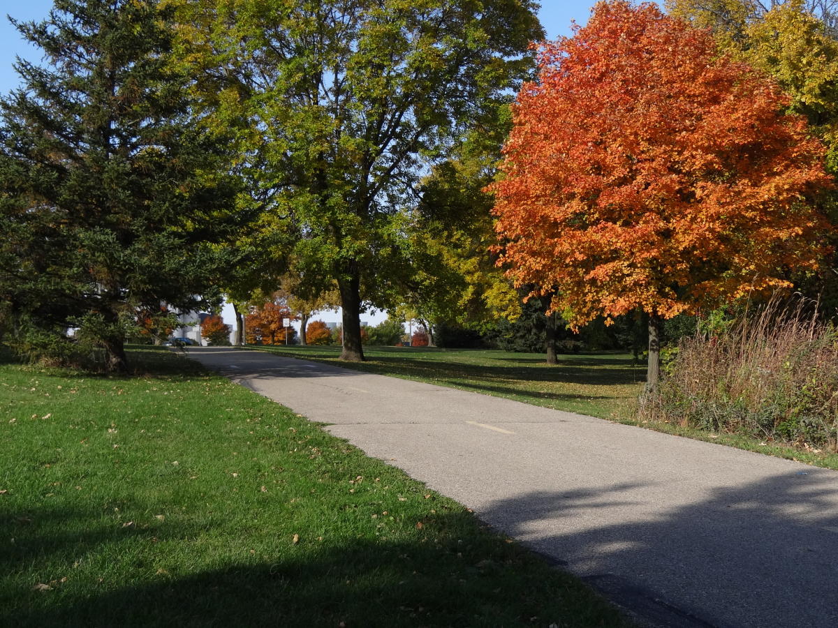 Things to Do in the Fall in Rochester, MN