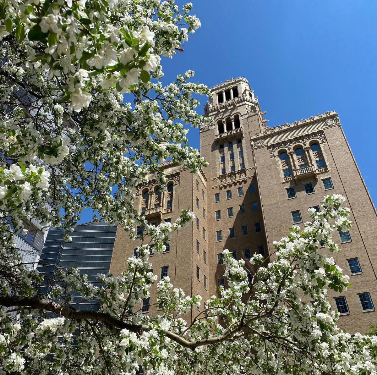 Easter Weekend Festivities in Rochester, MN