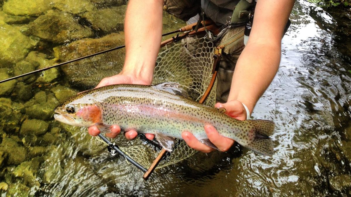 Fishing & Hunting in Lake Lure Fly Fishing Guides & Rentals