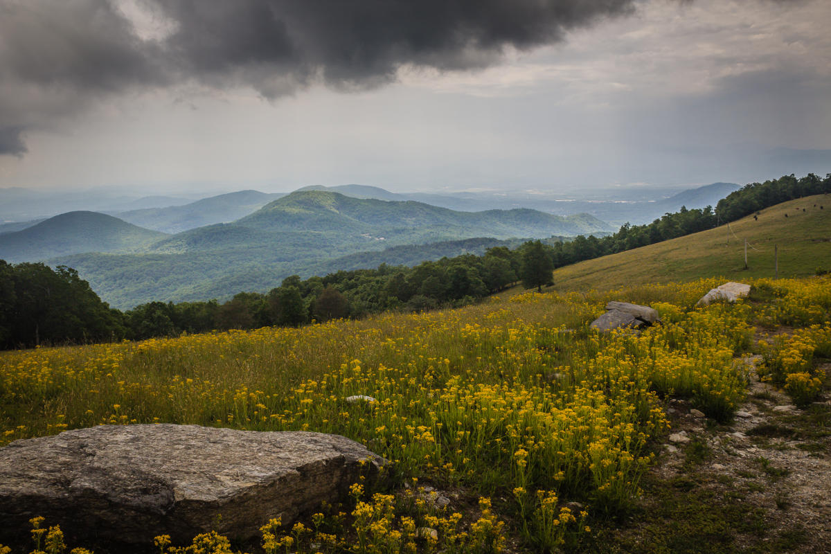 Bearwallow Mountain Trail