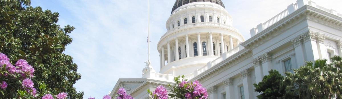 Plan Your Visit: What to See & Do in Sacramento, CA