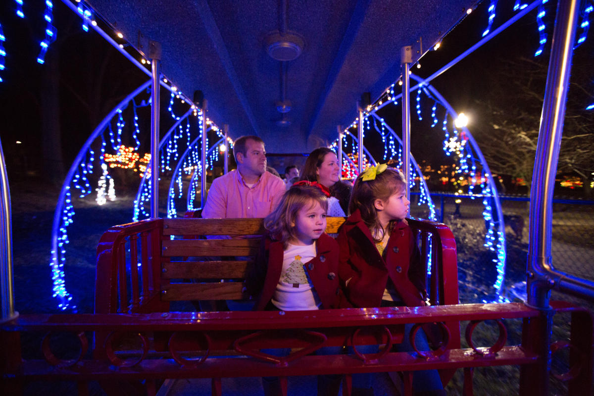 Kannapolis Christmas Events 2022 Celebration Of Lights & Winterland Express Train: A Rowan County Original