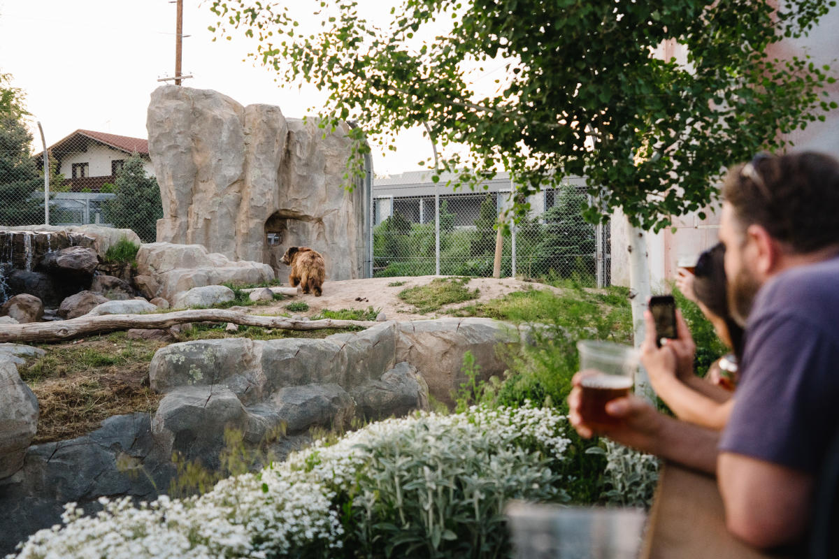 Zoo Brew Cheers to Utah's Hogle Zoo