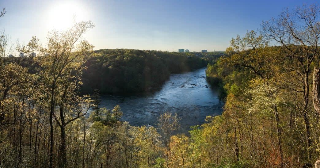 7 Reasons You Should Strongly Consider a Visit to Sandy Springs