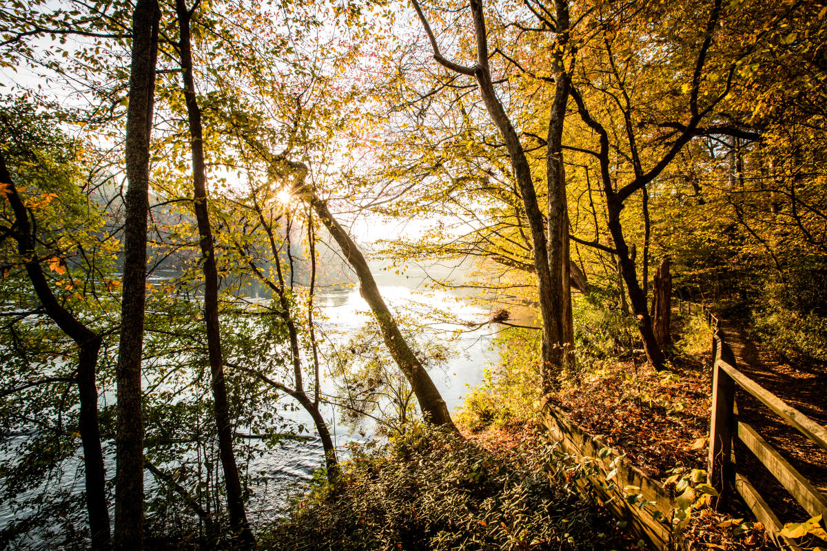 Weather in Sandy Springs 7Day Forecast & Climate Information