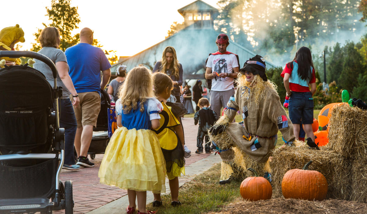 Fall in Love with these Sandy Springs Events