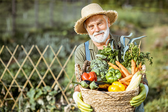 Farm Stands | San Francisco Peninsula Fresh Finds
