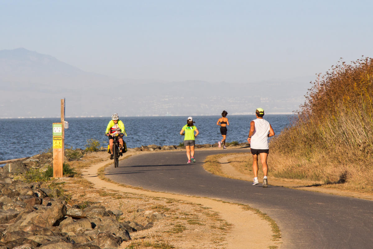 San Francisco Bay Trail Biking Birding Walking