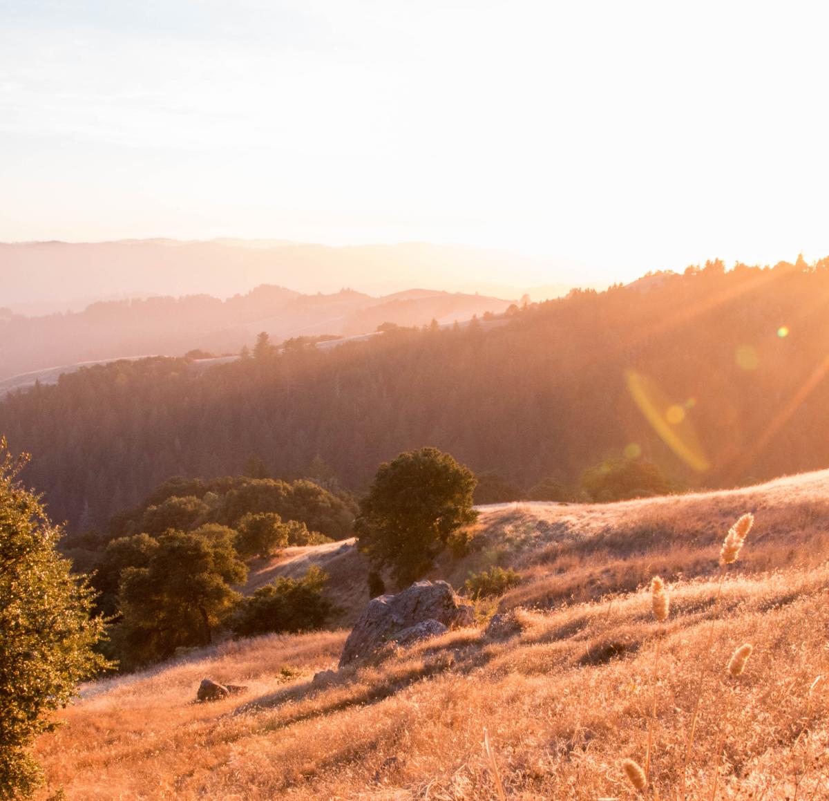 La Honda, California The San Francisco Peninsula
