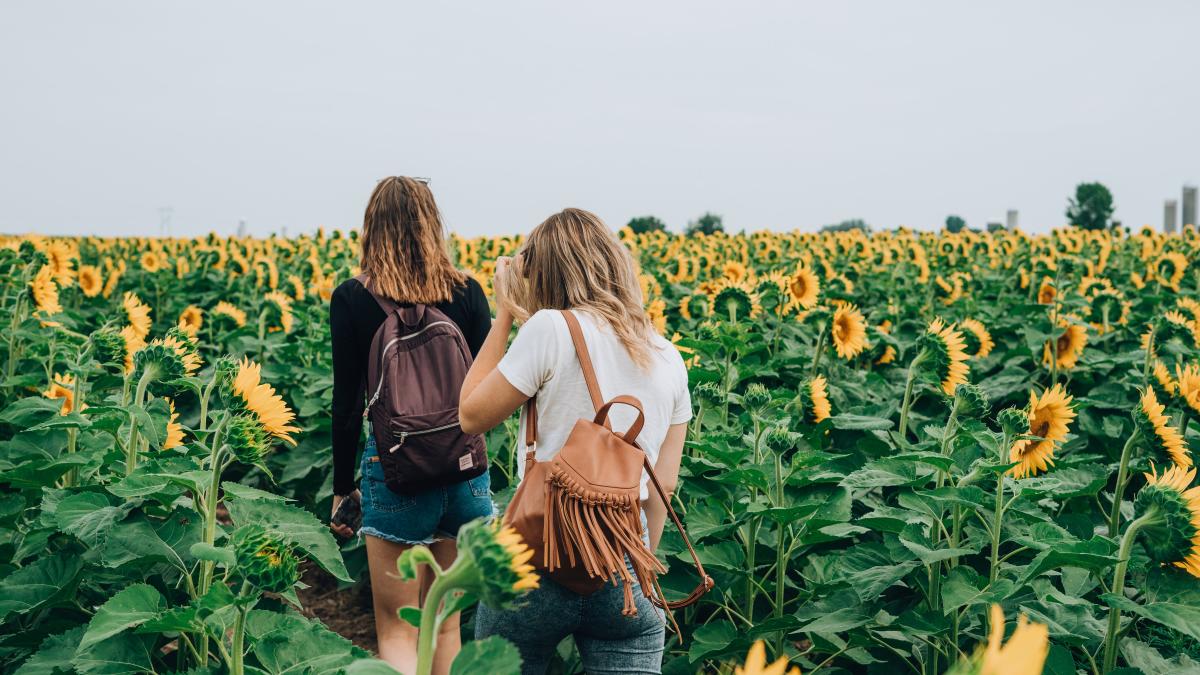 San Francisco Peninsula Fall Activities | Pumpkins & Mazes