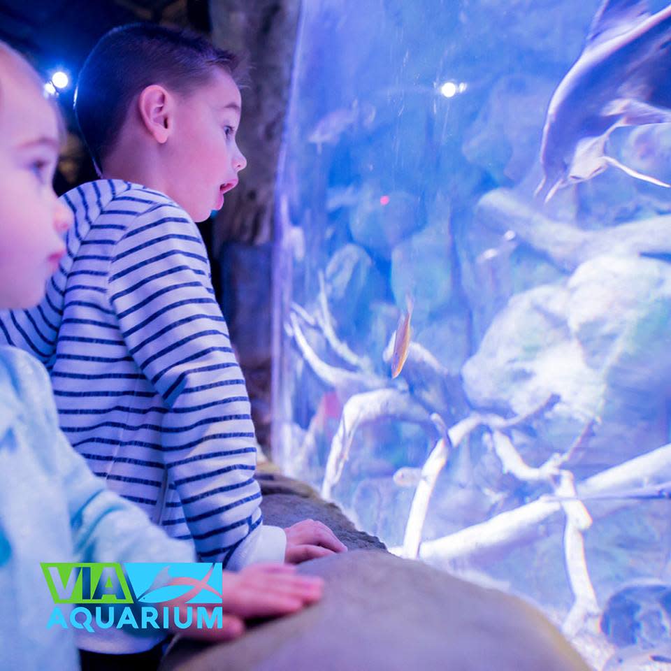 Activities for Kids - Discover Schenectady